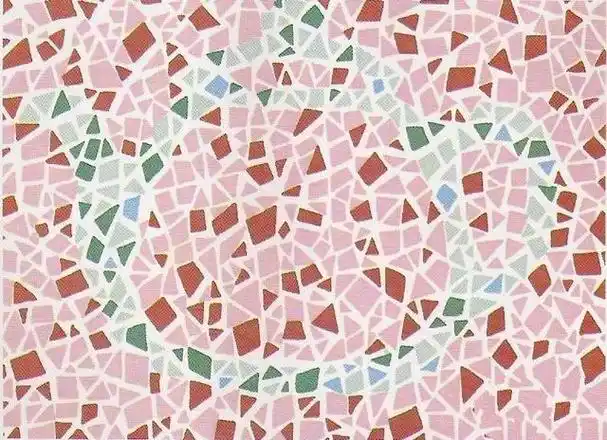 考驾照必看的色盲测试图(这几张色觉测试图一定要能够识别出来)(2)