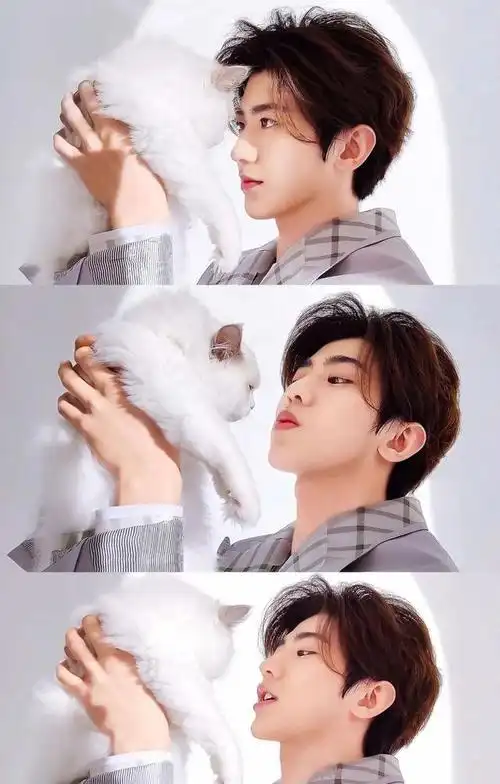 蔡徐坤壁纸见你一眼万物不及对你不止一句钟意