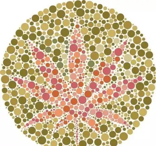 12张色盲色弱测试图色盲测试图怎么看