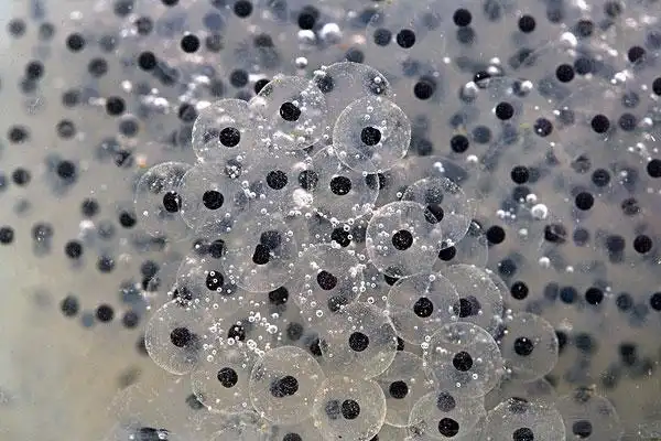 气候温和图片_全景网