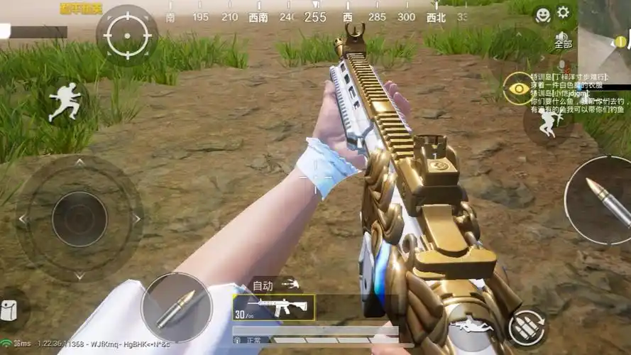 和平精英 m416 潮汐统领 突击步枪 皮肤