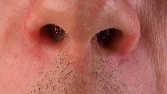 "鼻毛变白"是衰老前兆?医生:或与4个原因有关,男性应要注意