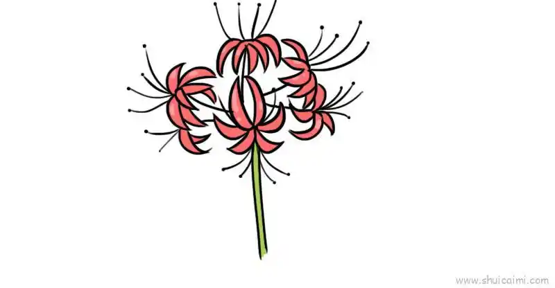 彼岸花儿童画怎么画 彼岸花简笔画简单