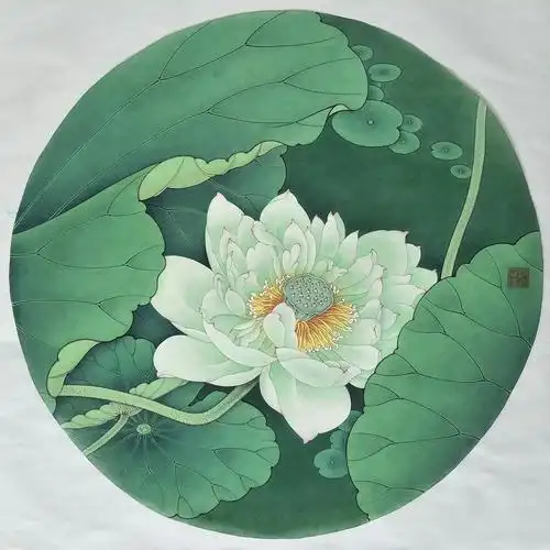 工笔,写意荷花作品!