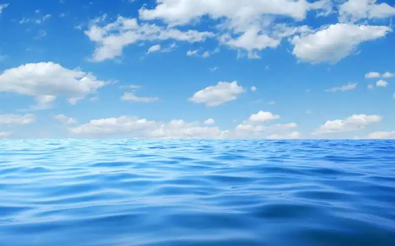 [海底世界]-感悟生命的不同面