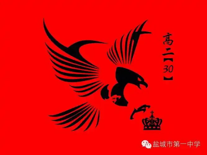 高二年级30班班旗设计图案展翅翱翔的雄鹰