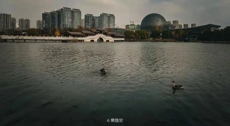 商丘.随便拍拍#写字是一种生活 #摄影 #拍照 #风景  - 抖音