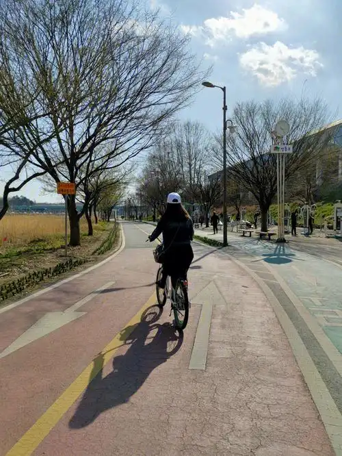 汉江公园骑自行车