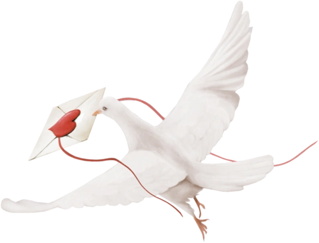 png免抠透明背景鸽子素材