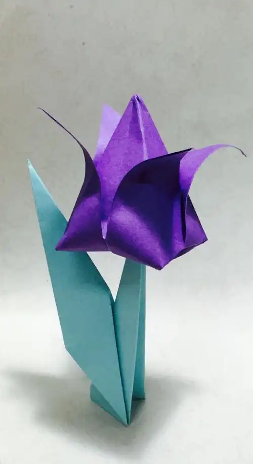 折纸郁金香
