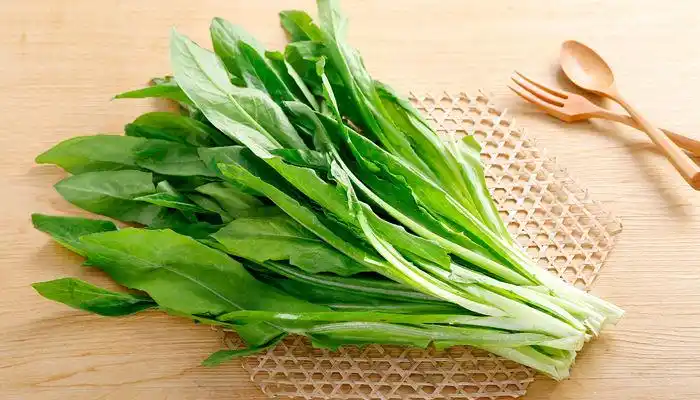 油麦菜和莴笋叶的区别 油麦菜和莴笋叶的区别有哪些 - 天气加