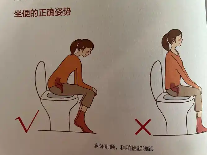正确蹲马桶的姿势