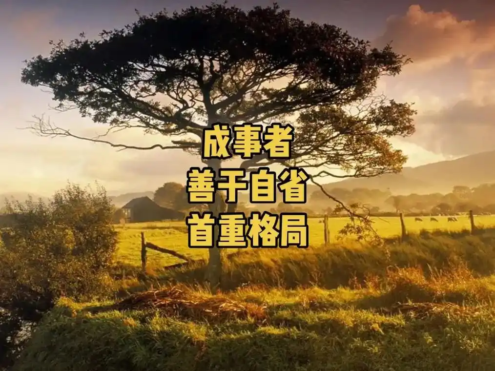 人生,需要谋篇布局.格局就是思想境界的高度 - 抖音