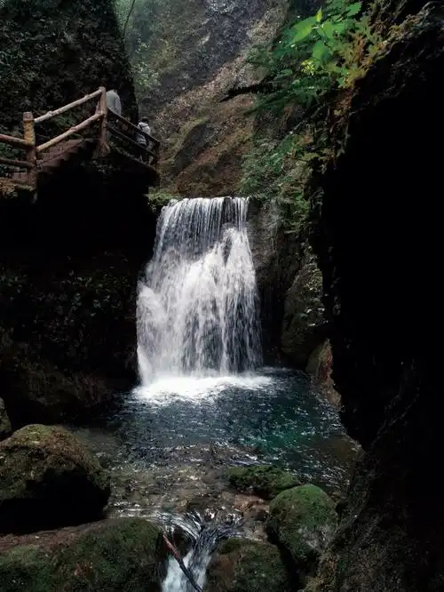很累但是很治愈,风景好看,空气也很好##青城山  #青城山后山  #风景