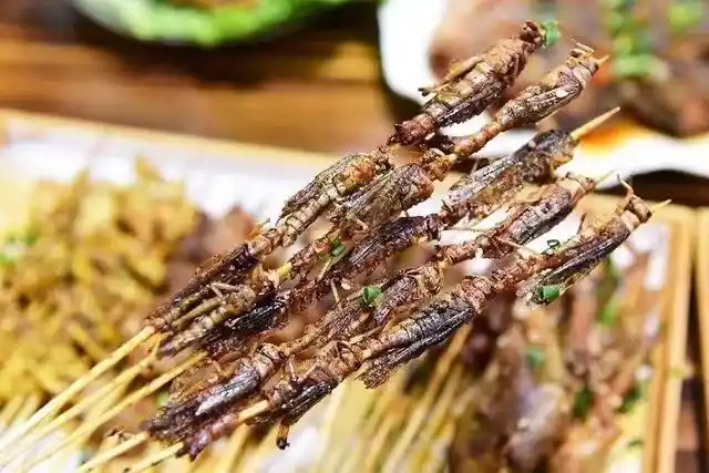 烤蚂蚱,你小时候吃过吗?
