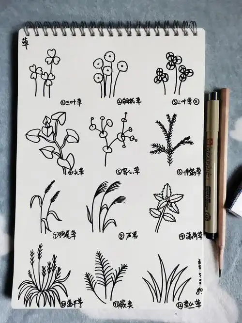 12种草的简笔画画法原创49