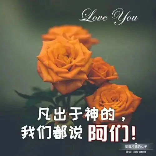 荣耀归主名【电音版】