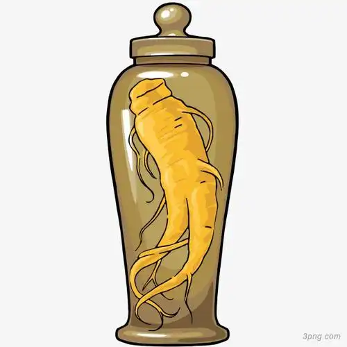 标签:人参人参玻璃瓶矢量插画瓶子秋季养生西洋参人参卡通手绘人参果