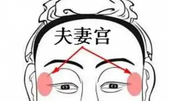 夫妻宫廉贞忌有什么意思__夫妻宫廉贞利禄