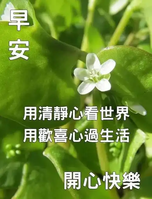 周四早安,最美的问候送给你!