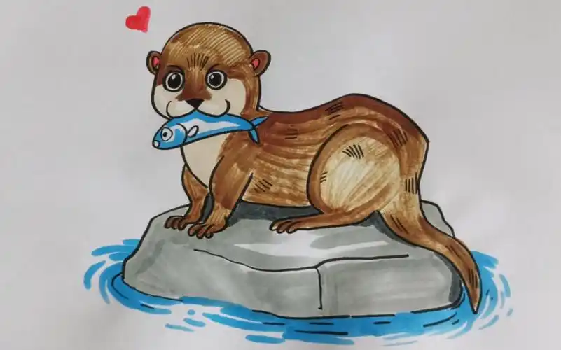 【简笔画】小水獭