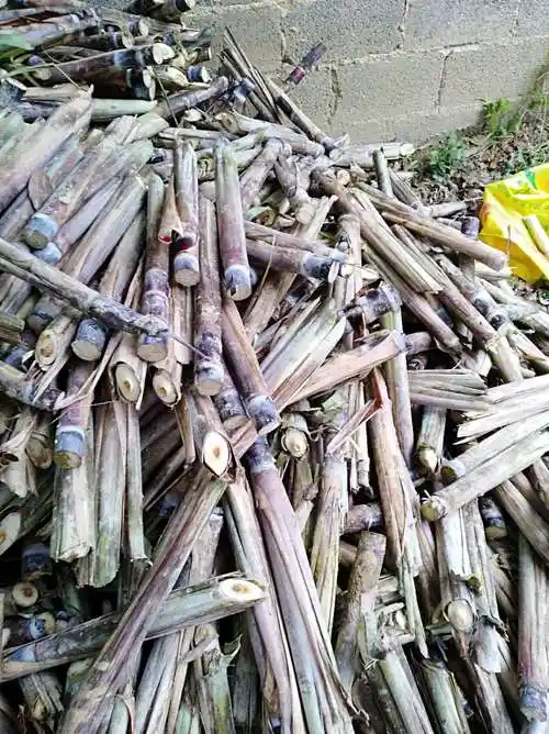 农新网 第55页_农新网