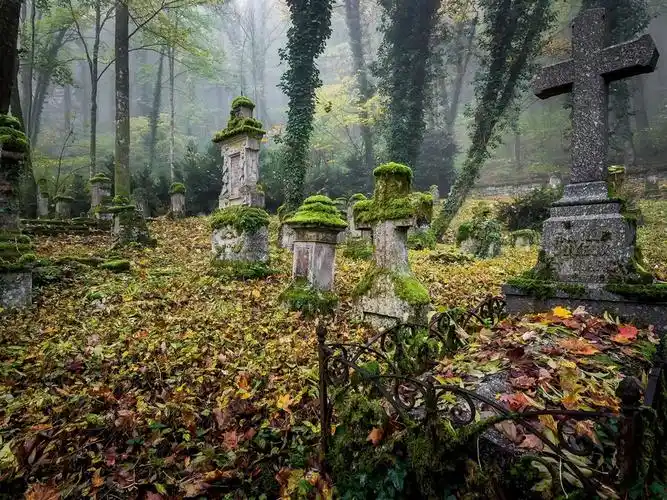 坟墓,墓地,苔藓,十字架