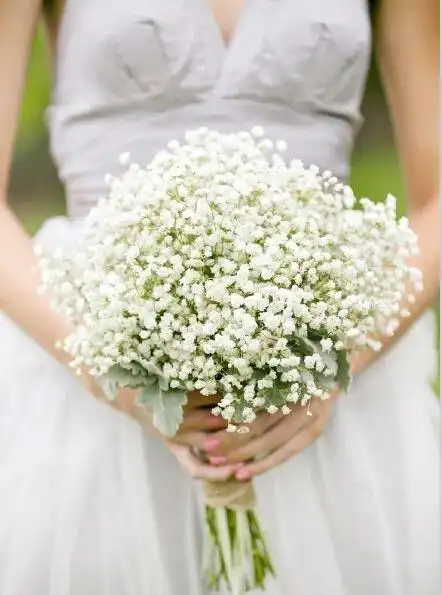 满天星手捧花图片 新娘满天星手捧花图片