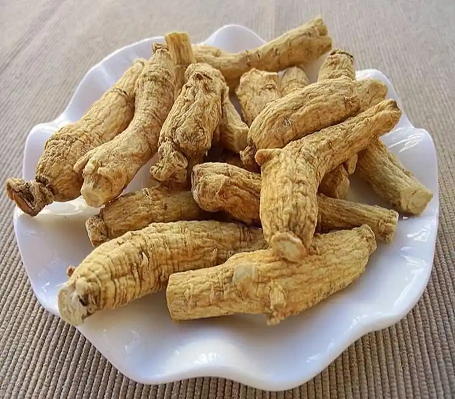 每日认识一味中药——西洋参 【药用部位】五加科植物西洋参的根.