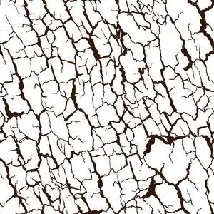 树皮纹理的无缝图案.木材自然结构照片