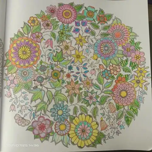 秘密花园成品图