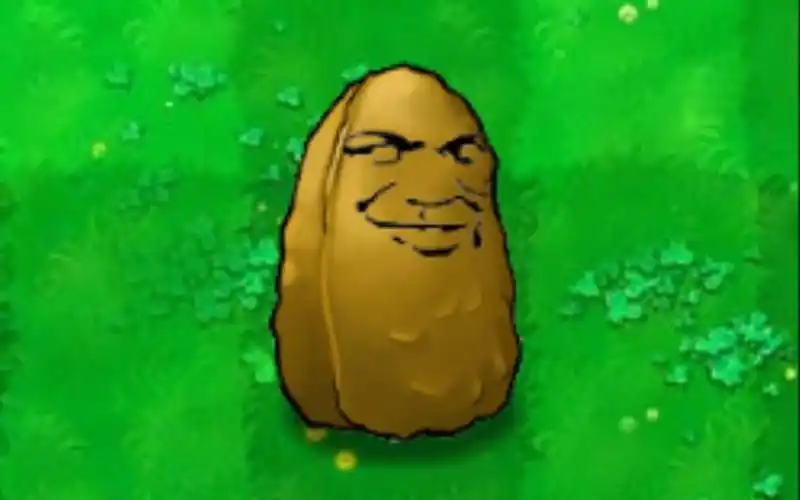 史上最骚高坚果【pvz搞笑集锦#5】_哔哩哔哩_bilibili