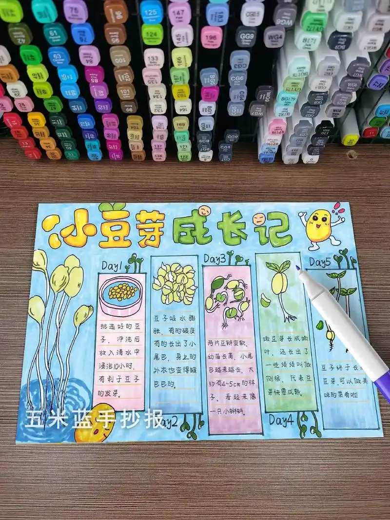 小豆芽成长记手抄报【自然笔记】有线稿,93打印直接涂色~ 手 - 抖音