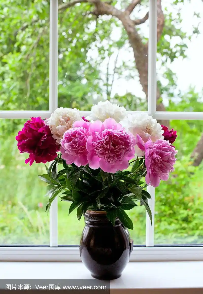 牡丹,窗台,窗户,花瓶,多色的