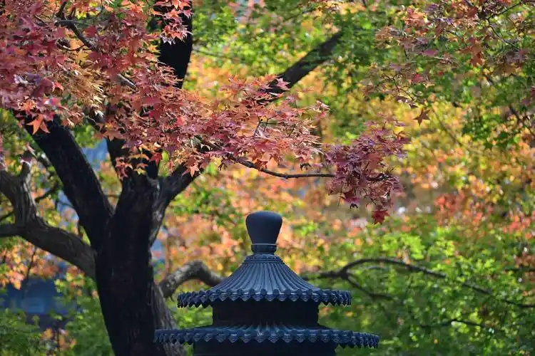 香山秋韵_勤政殿