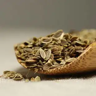 千里香 莳萝籽 千里香包邮 莳萝籽包邮50g 包邮