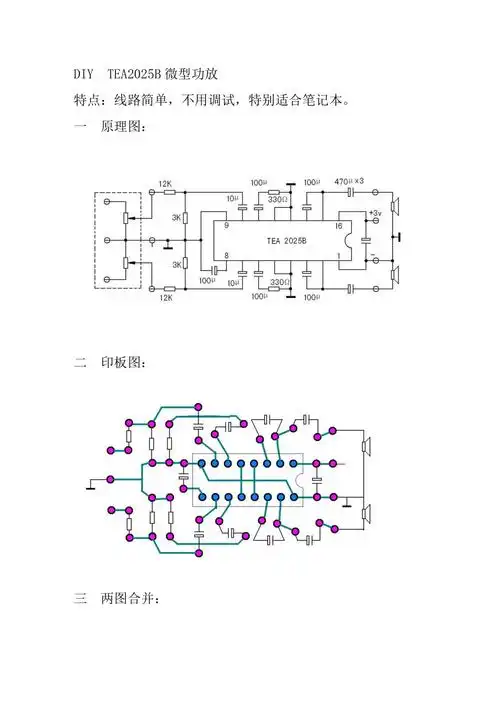 diytea2025b微型功放