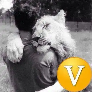 谁有头像认证v字图片,发几个吧