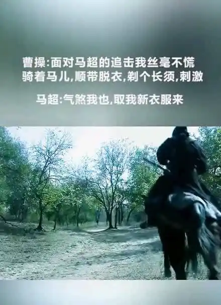 曹贼拿命来………………呀