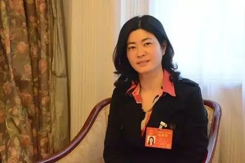 全国人大代表 湖南佳惠集团董事长李小红