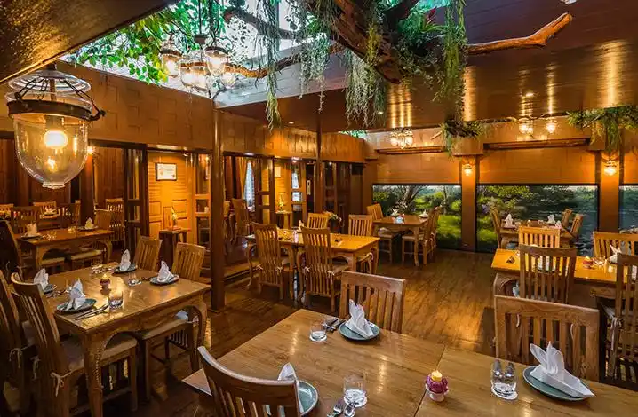 泰国年夜饭精选餐厅