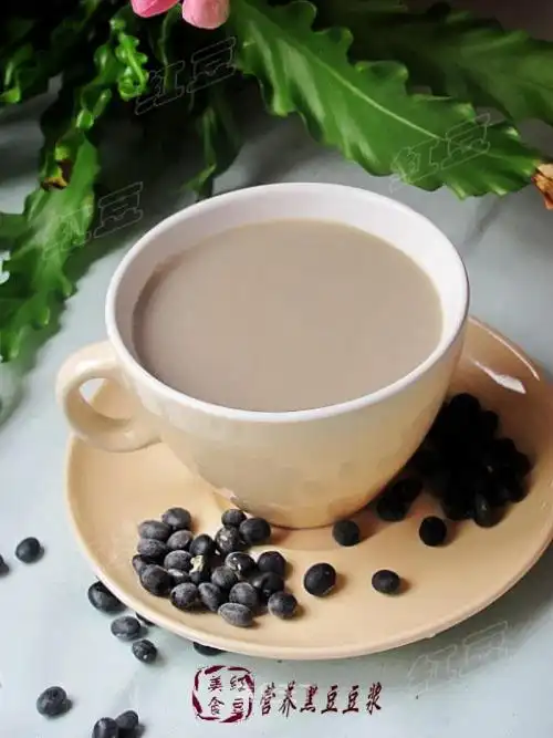 缓解疾病豆浆营养黑豆豆浆