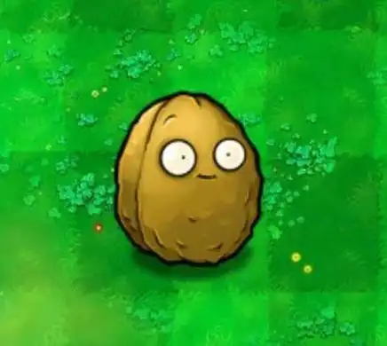 不但要对话,大司马还给植物们起一些怪名字,比如他非要管坚果墙叫"