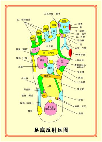 704海报印制海报展板写真喷绘贴纸素材5足疗道浴足底反射区