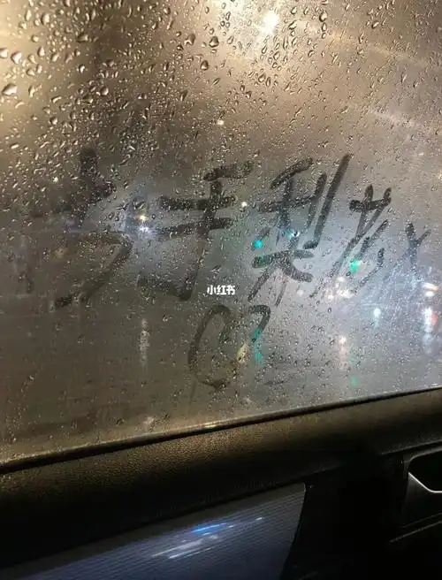 车窗起雾写的是你的名字