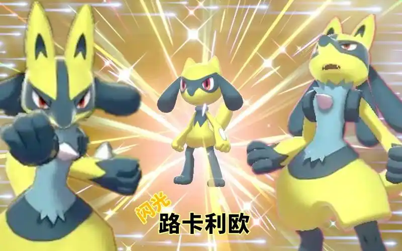 宝可梦剑盾一起变强吧小智脸闪光路卡利欧get