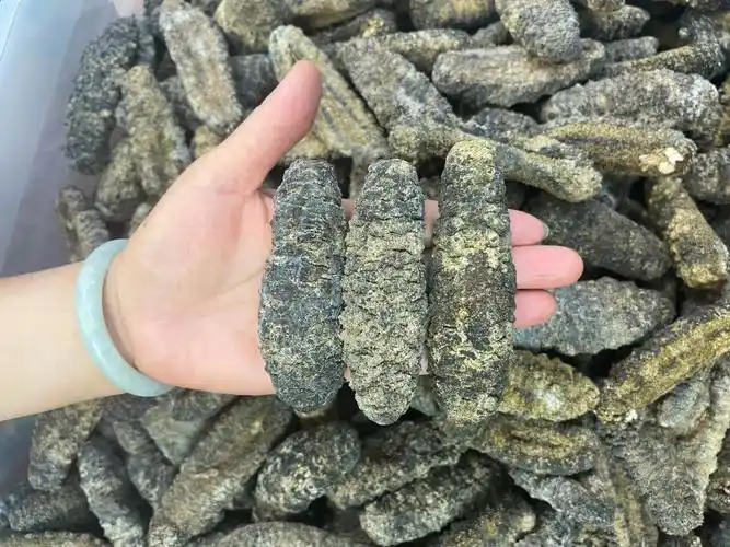 1520头南美无药无漂荔枝参