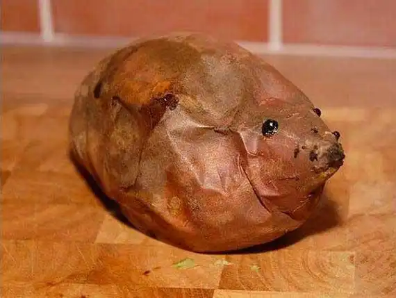 奇怪的蔬菜水果,太有趣了!