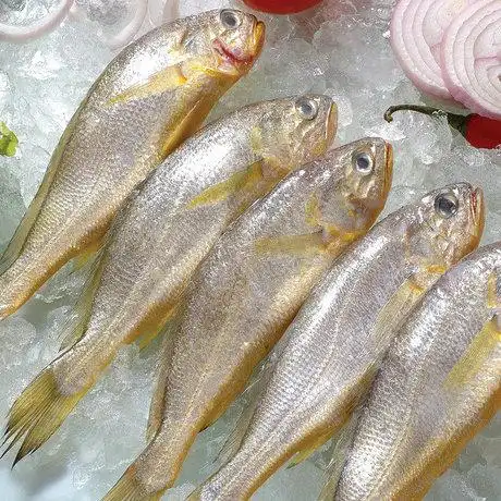 爱逛街为您找到野生小黄花鱼相关的宝贝,您可以在下面的板块中挑选