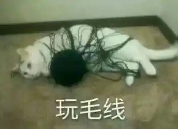 猫咪玩毛线_猫咪_毛线表情